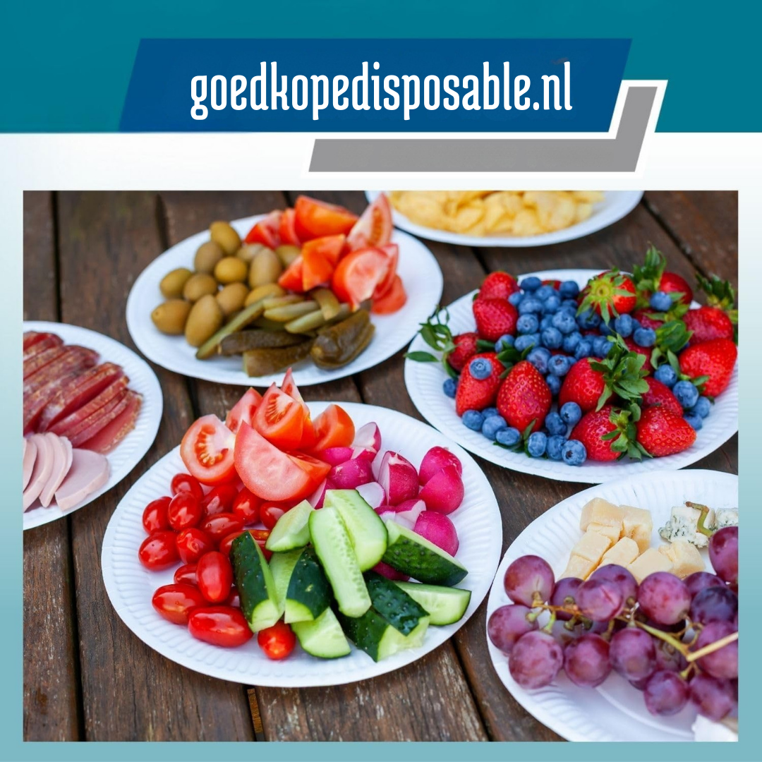 Kartonnen Borden 26cm – 100 Stuks Grote Wegwerpborden BBQ