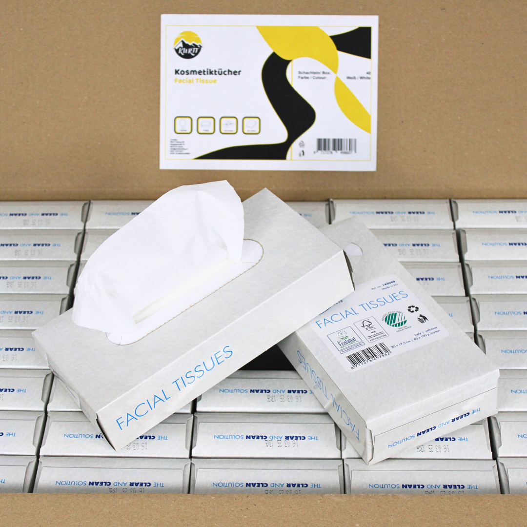 4000 mouchoirs, 2 couches, emballage à rabais 20x20 cm, (40 x 100) tissus papier, FSC et Ecolabel - Nettoyage des chiffons