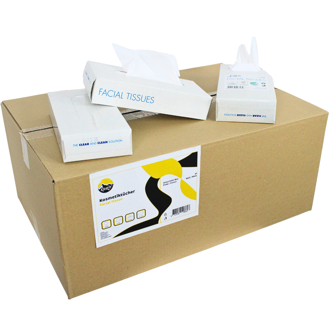 4000 mouchoirs, 2 couches, emballage à rabais 20x20 cm, (40 x 100) tissus papier, FSC et Ecolabel - Nettoyage des chiffons