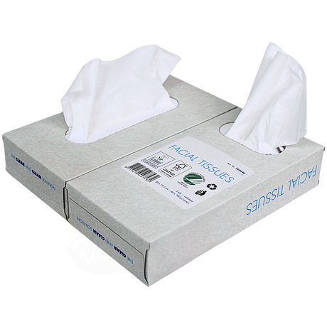 1000 mouchoirs en papier double épaisseur (10 x 100), 20 x 20 cm, certifiés FSC et Ecolabel - lingettes nettoyantes en cellulose